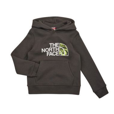 Felpa per ragazzo The North Face Boy's Drew Peak P/O Hoodie color grigio, ideale per giovani avventurieri. Comfort e stile uniti in un design moderno, perfetta per attività all'aperto e uso quotidiano. Realizzata con materiali di alta qualità, offre calore e resistenza. Scopri l'outfit perfetto per l'inverno con la felpa The North Face. Disponibile ora!